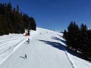 Piste familiale facile