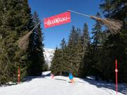 Bon plan pour les enfants :  - Piste ludique HäxäWäldli