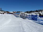 Bon plan pour les enfants : 