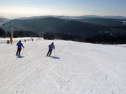 Piste 18 : Neklid - Moser