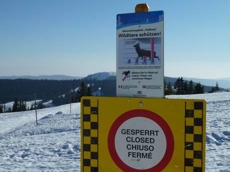 Todtnau: Domaines skiables respectueux de l'environnement – Respect de l'environnement Feldberg – Seebuck/Grafenmatt/Fahl