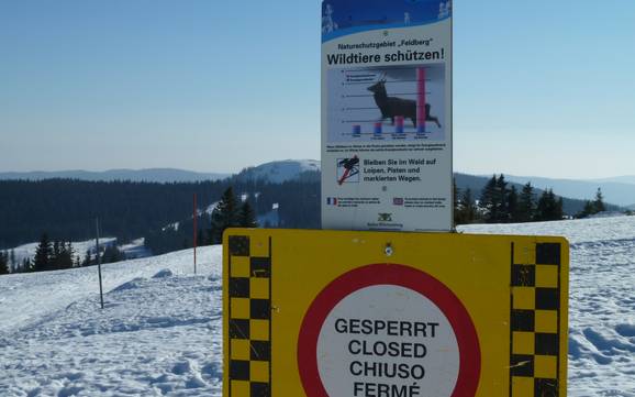 Breisgau-Hochschwarzwald: Domaines skiables respectueux de l'environnement – Respect de l'environnement Feldberg – Seebuck/Grafenmatt/Fahl