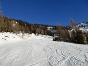 Piste bleue en direction de Gloneralm Flachauwinkl
