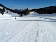 Piste n° 26 Val delle Lanze