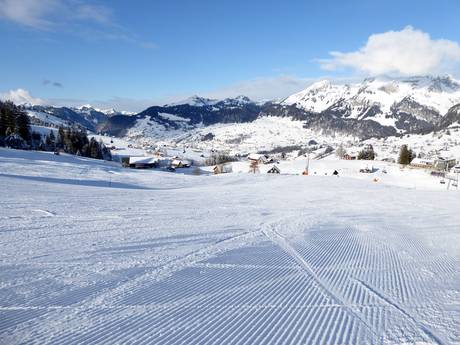 Domaines skiables pour les débutants dans les Préalpes appenzelloises et saint-galloises – Débutants Wildhaus – Gamserrugg (Toggenburg)
