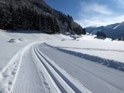 Piste de ski de fond à Donnersbachwald