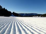 Piste parfaitement préparée dans le domaine skiable Les Angles