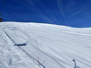 Piste fraîche le matin à l'Asitz