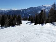 Piste familiale Moserkopf