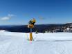 Fiabilité de l'enneigement Alpes australiennes  – Fiabilité de l'enneigement Mount Hotham