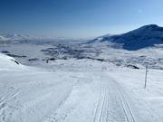 Piste facile BH-löpan/Mössan