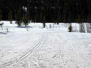 Piste de ski de fond à Vemdalsskalet