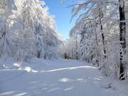 Chemin de liaison facile vers Mitterfirmiansreut