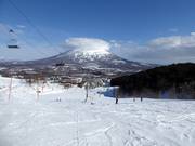 Pistes dans le secteur skiable Grand Hirafu