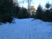 Piste de ski de fond au Geißkopf