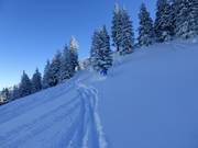 Itinéraire de ski Ochsenalpe