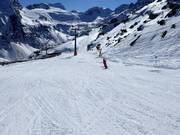 Piste facile n° 23 du Giggijoch en direction du glacier