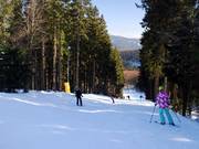 La Kappe propose également des descentes en forêt faciles à moyennement difficiles.