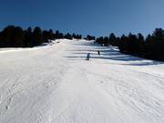 Piste sportive n° 18