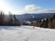 Large piste standard