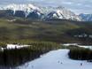 Rocheuses d'Alberta: Domaines skiables respectueux de l'environnement – Respect de l'environnement Nakiska