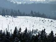Pistes de ski de fond du centre de ski nordique Bretterschachten