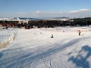 Pistes pour débutants dans la zone de la vallée