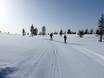 Ski nordique Dalécarlie (Dalarna) – Ski nordique Idre Himmelfjäll