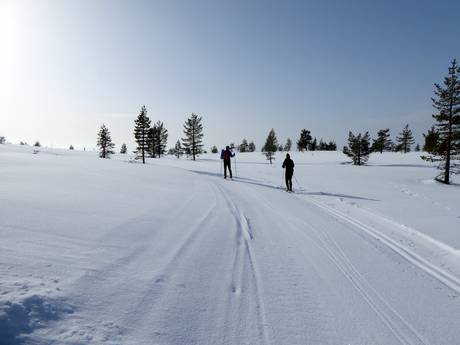 Ski nordique Alpes scandinaves – Ski nordique Idre Himmelfjäll
