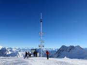 Le mât de mai le plus haut d'Allemagne