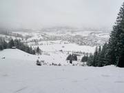 Vue sur Unterammergau