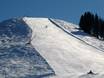 Domaines skiables pour skieurs confirmés et freeriders Kitzbüheler Alpen – Skieurs confirmés, freeriders St. Johann in Tirol/Oberndorf – Harschbichl
