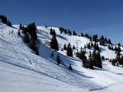Descentes en poudreuse depuis Hühnerspiel