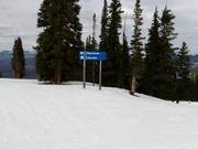 Signalisation des pistes