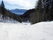 Piste facile Rehkogel