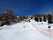 Descente jusqu'à Suvretta