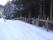 Barrière pour la préservation de la forêt