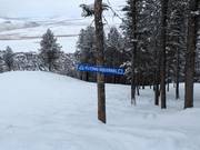 Signalisation des pistes dans le domaine skiable Snow King Mountain