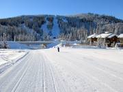 Piste facile Mt. Morrisey Connector