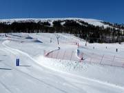 Bon plan pour les enfants : 