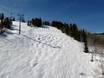 Domaines skiables pour skieurs confirmés et freeriders Monts Elk – Skieurs confirmés, freeriders Buttermilk Mountain