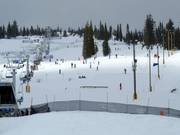 Telus Terrain Park