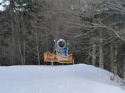 Enneigement sur la piste Donauwellenabfahrt