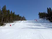 Piste difficile Frida Race Arena n° 11