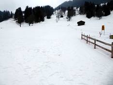 Images Saxeten – Pintli