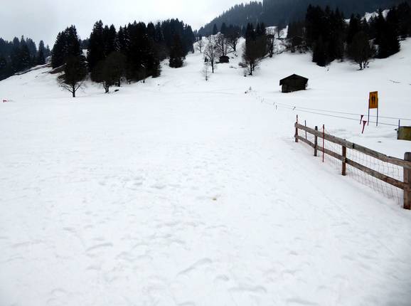 Vue sur la piste de ski familiale à Saxeten