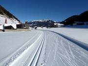 Piste de ski de fond à Weißenbach
