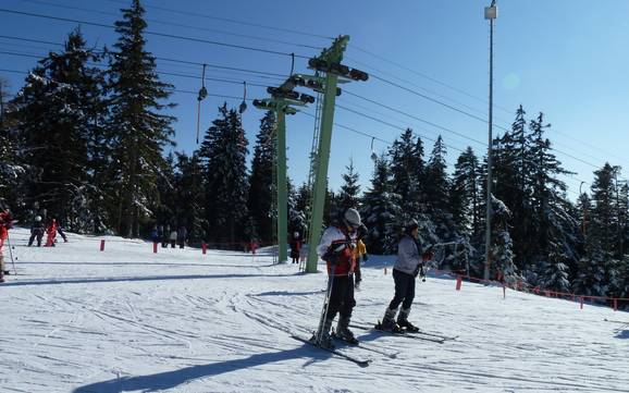 Meilleur domaine skiable dans la région touristique de Bühl-Bühlertal (vallée de Bühl) – Évaluation Hundseck – Bühlertallifte