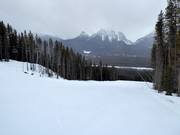 Piste n° 174 Buffaloberry