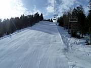 Piste standard FIS Kohlerhang